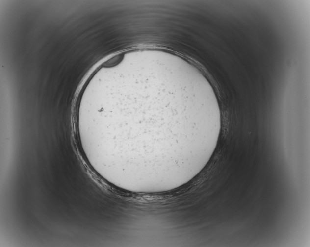 X0000103321148200810060949