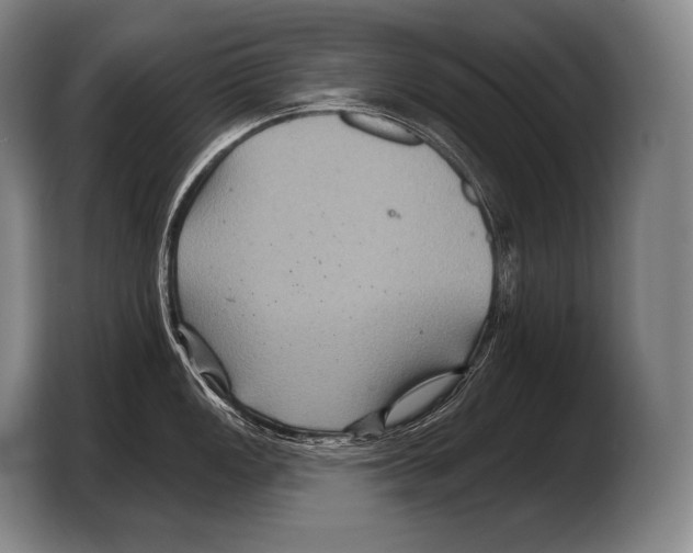 X0000103321149200810060949
