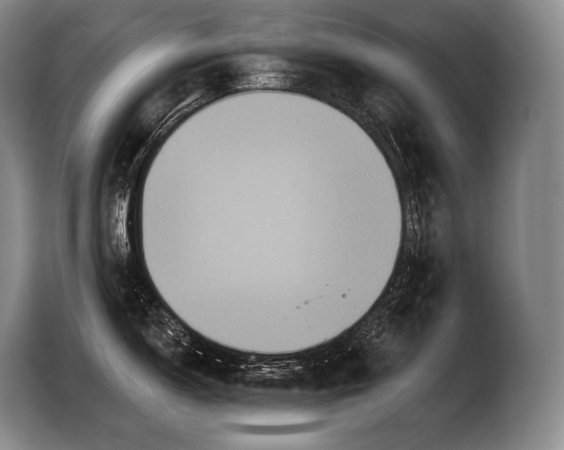 X0000103321150200810060949