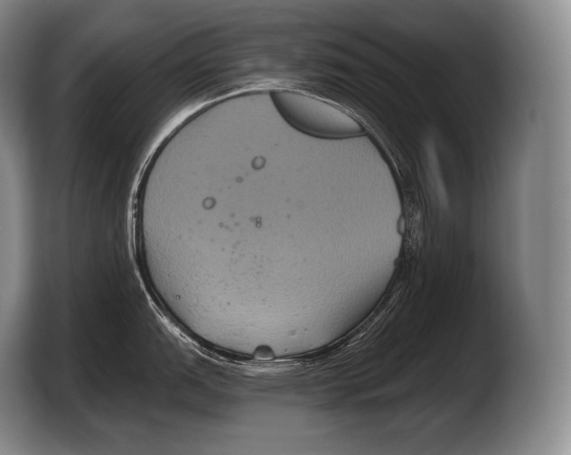 X0000103321151200810060949