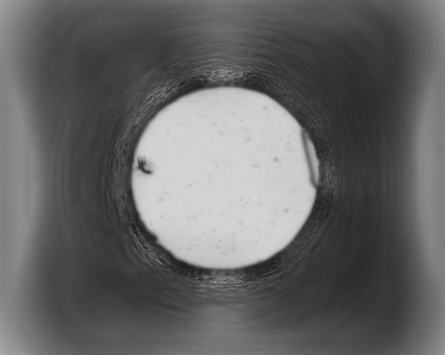 X0000103321153200810060949