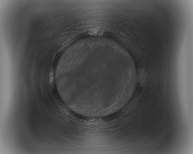 X0000103321154200810060949