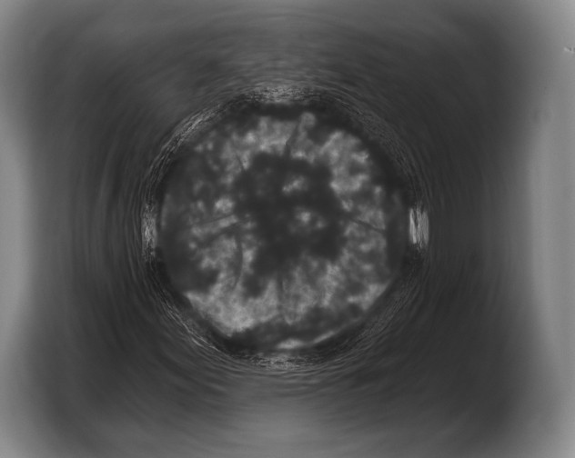 X0000103321155200810060949