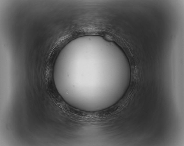 X0000103321157200810060949