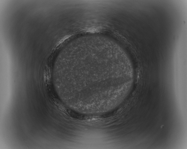 X0000103321158200810060949
