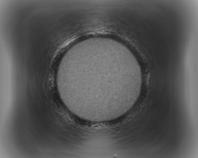 X0000103321159200810060949