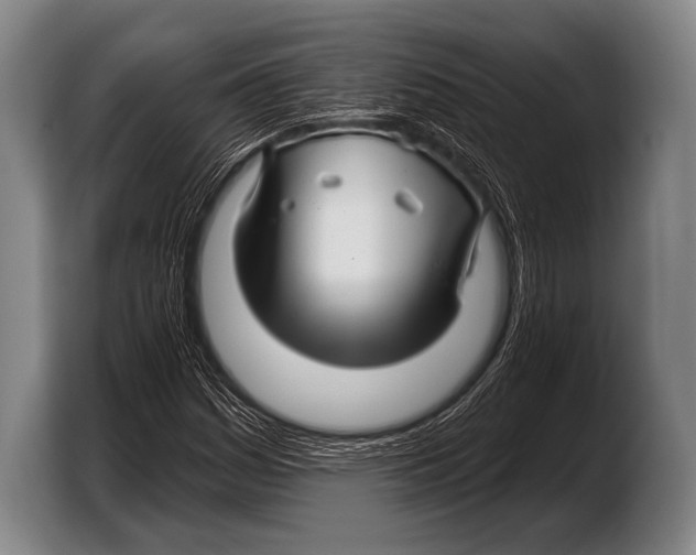 X0000103321161200810060949