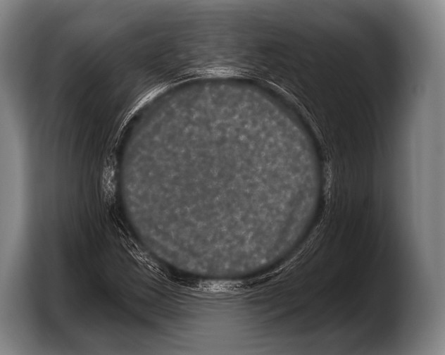 X0000103321163200810060949