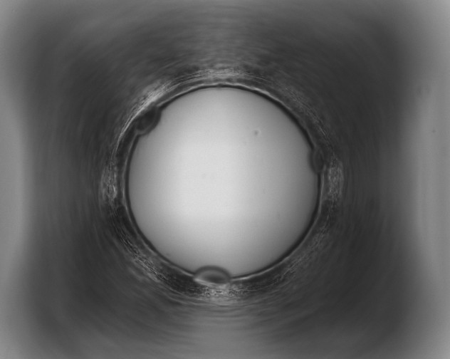 X0000103321165200810060949