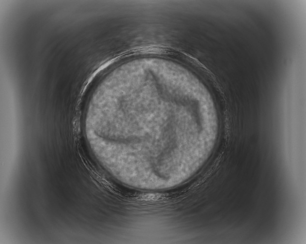 X0000103321166200810060949