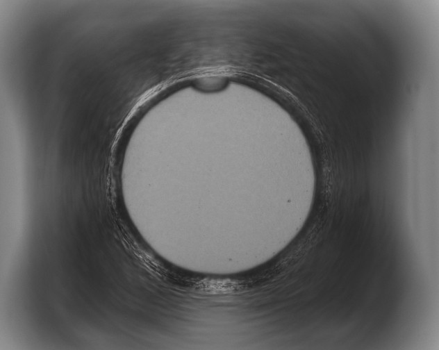 X0000103321168200810060949