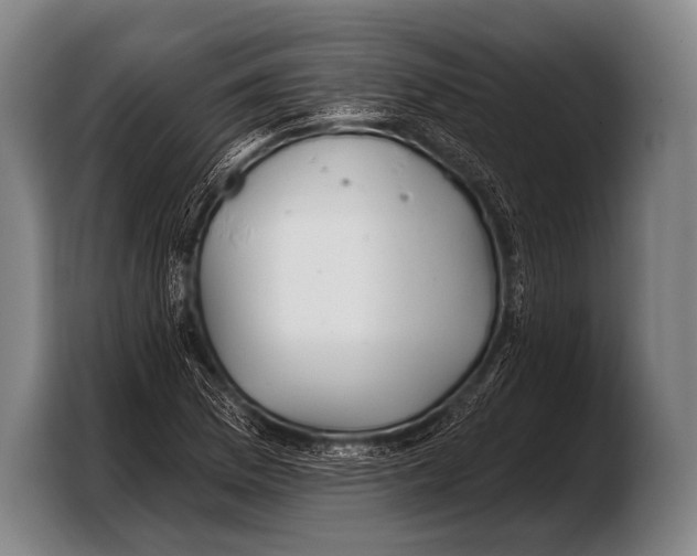 X0000103321169200810060949