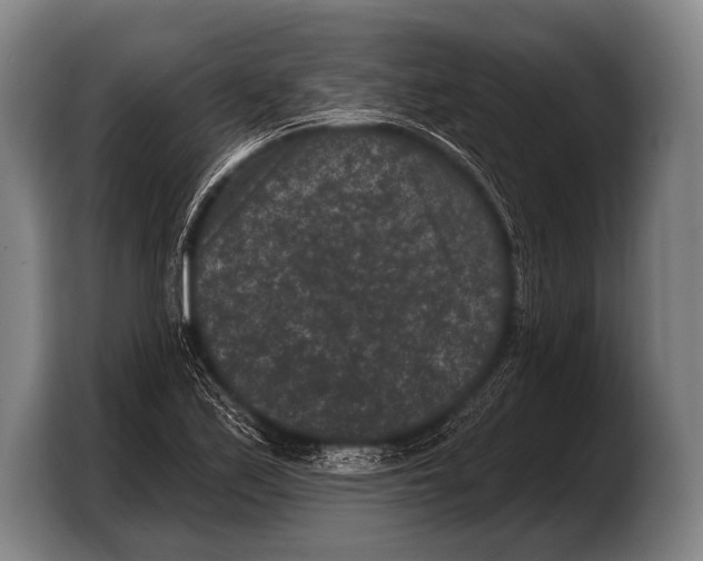 X0000103321171200810060949