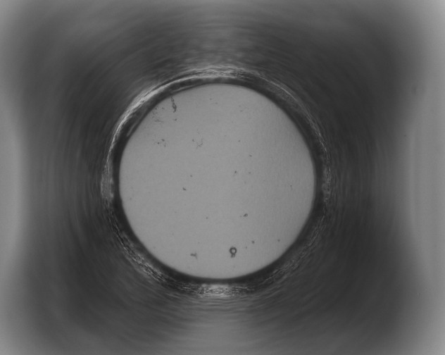 X0000103321172200810060949