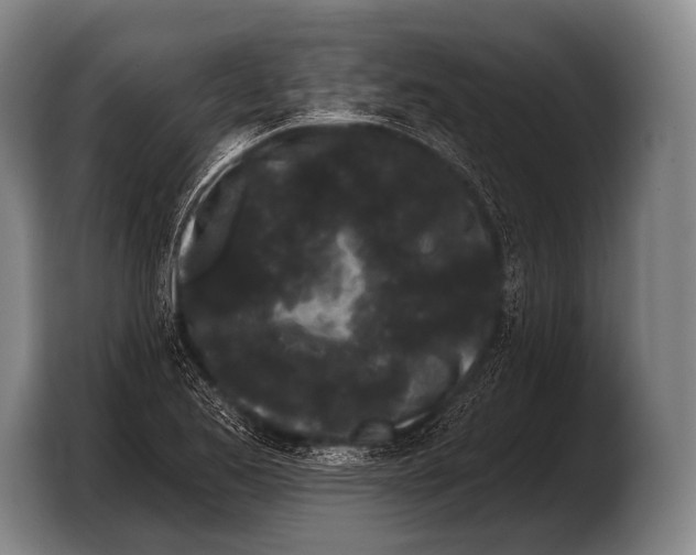 X0000103321173200810060949