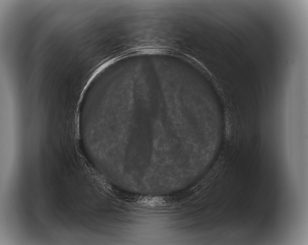 X0000103321174200810060949