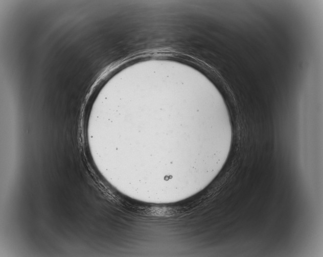 X0000103321176200810060949