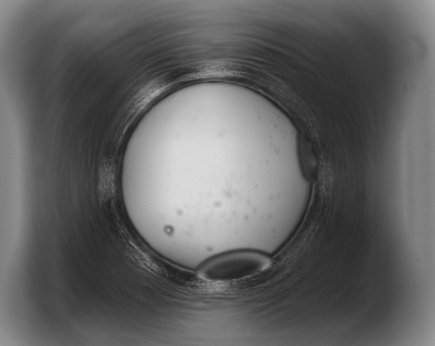 X0000103321177200810060949