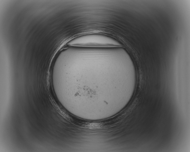 X0000103321178200810060949