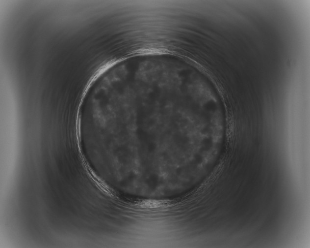 X0000103321179200810060949