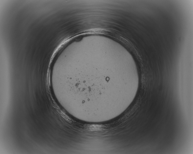 X0000103321180200810060949