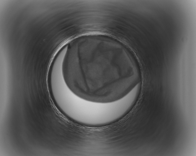 X0000103321181200810060948