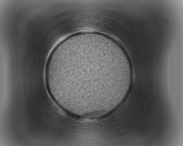 X0000103321183200810060948