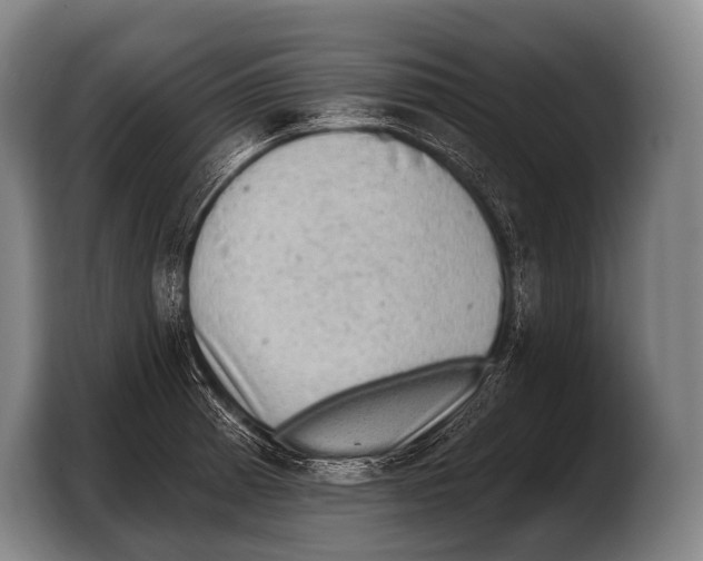 X0000103321185200810060948