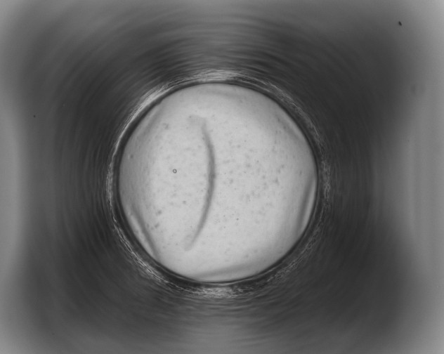 X0000103321186200810060948