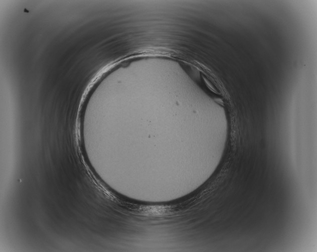 X0000103321188200810060948