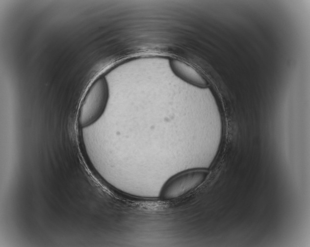 X0000103321189200810060948