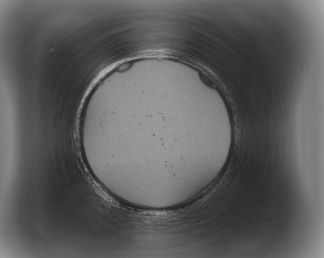 X0000103321192200810060948