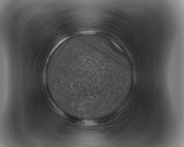 X0000103321194200810060948