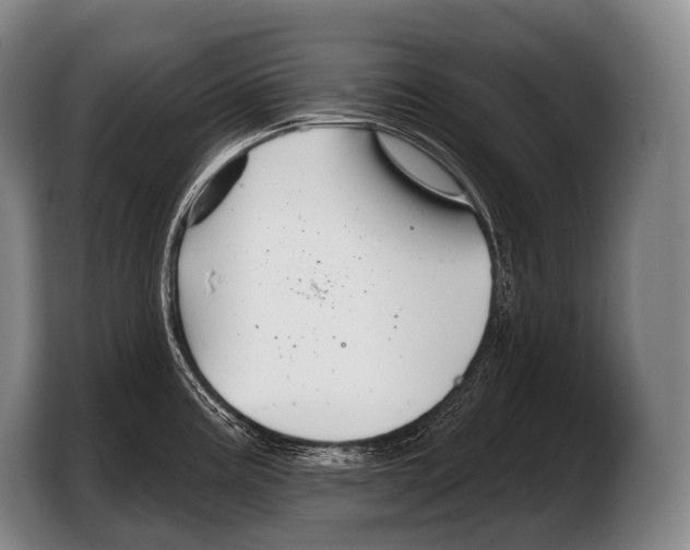 X0000103321195200810060948