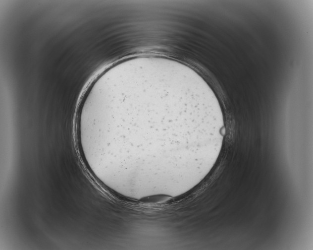 X0000103321196200810060948