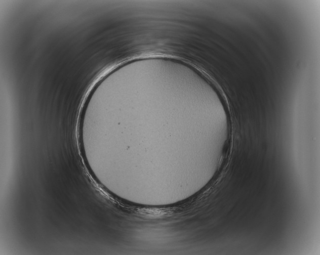 X0000103321197200810060948