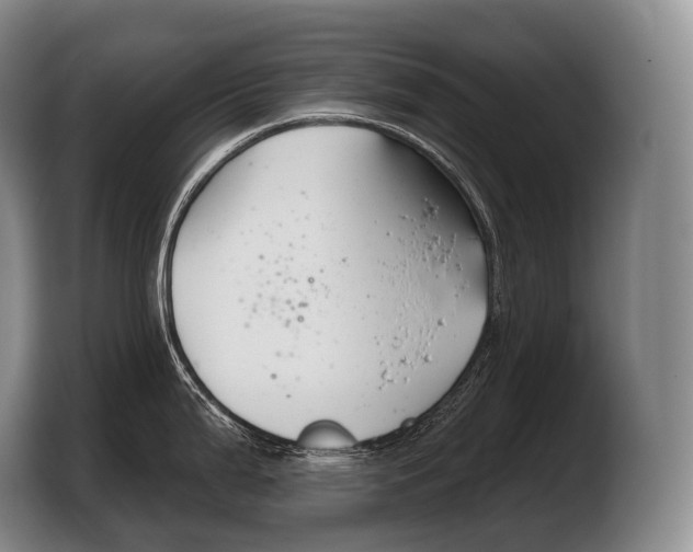 X0000103321199200810060948