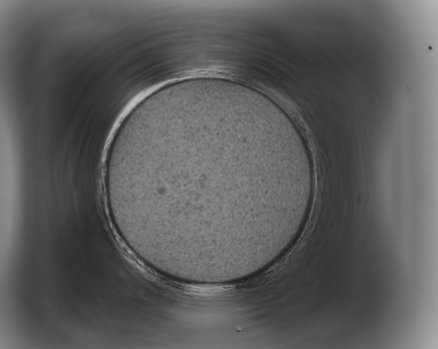 X0000103321200200810060948