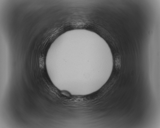 X0000103321204200810060948