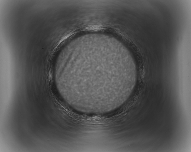 X0000103321206200810060948