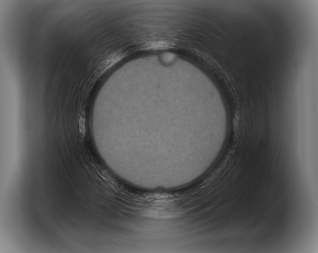 X0000103321209200810060948