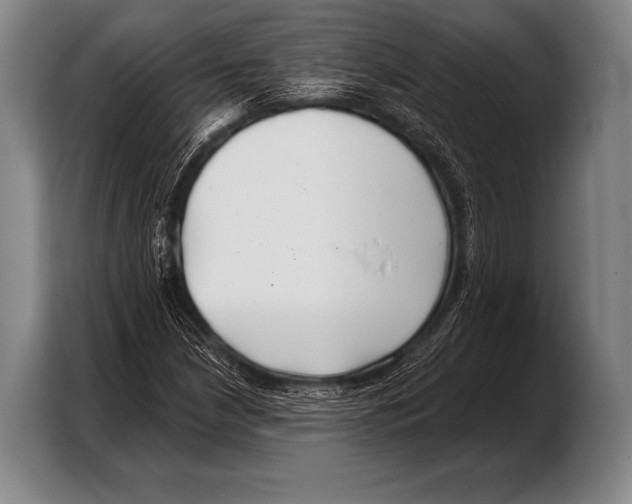 X0000103321210200810060948