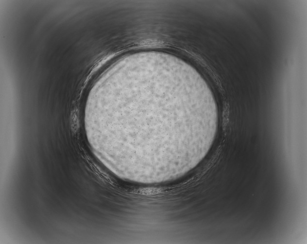 X0000103321212200810060948