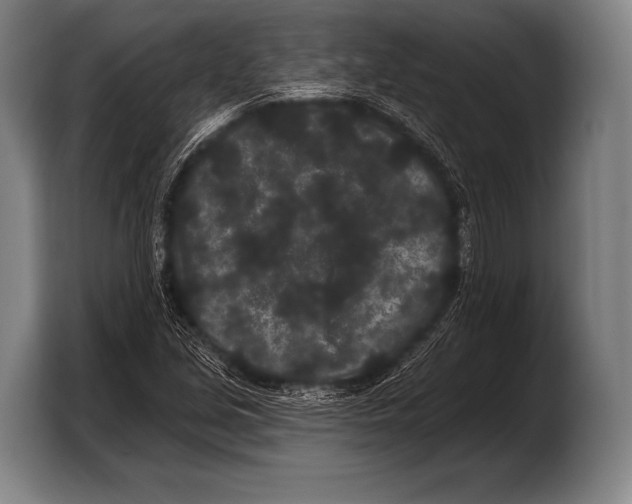 X0000103321213200810060948