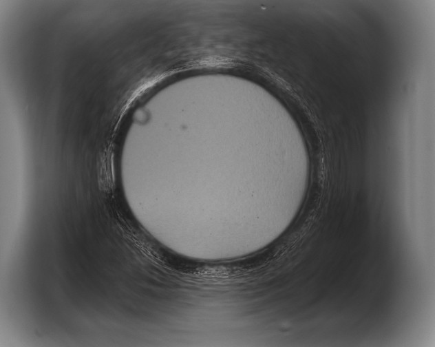 X0000103321214200810060948