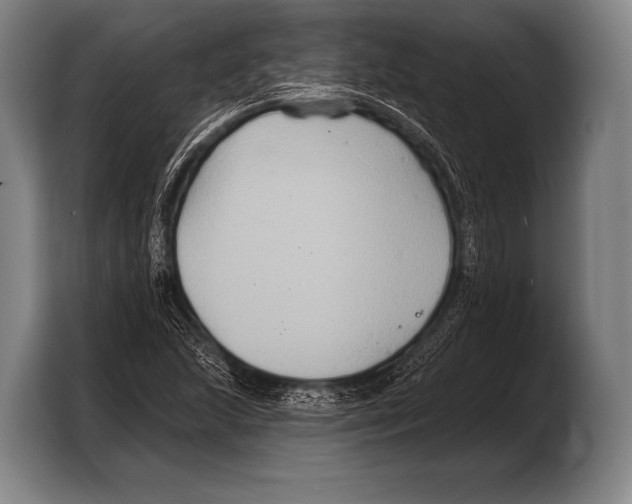 X0000103321215200810060948