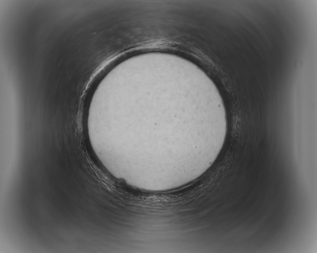 X0000103321216200810060948