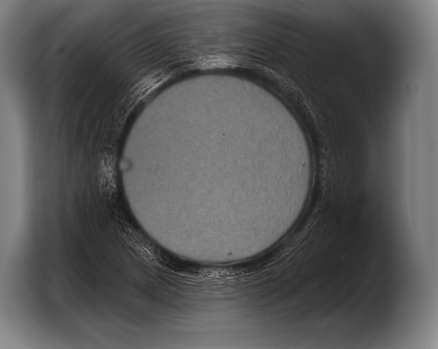 X0000103321217200810060948