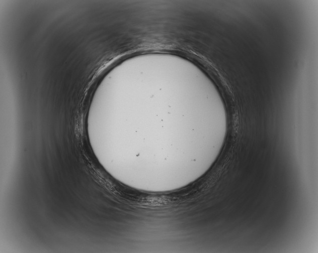 X0000103321220200810060948