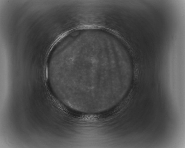 X0000103321221200810060948